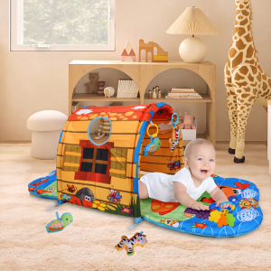 Activity Tunnel Gym