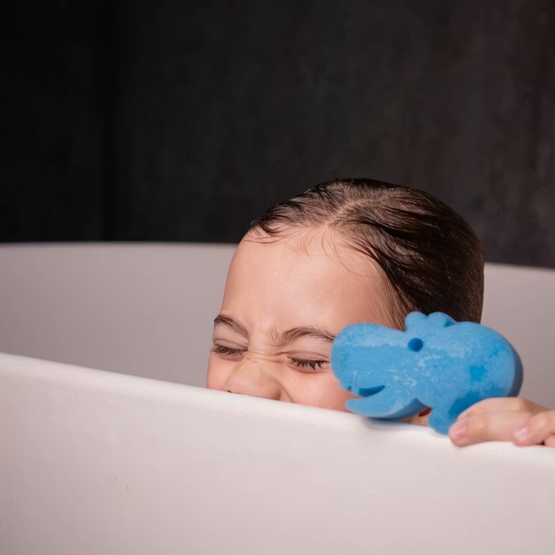 4000621 (2) 4000621 (2)