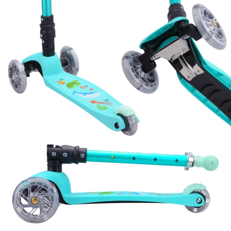 DSC_3169v2 DSC_3169v2